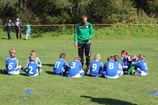 开云在线入口-瑞典团队战术：从快攻到慢球的多变打法，瑞典几分钟进球